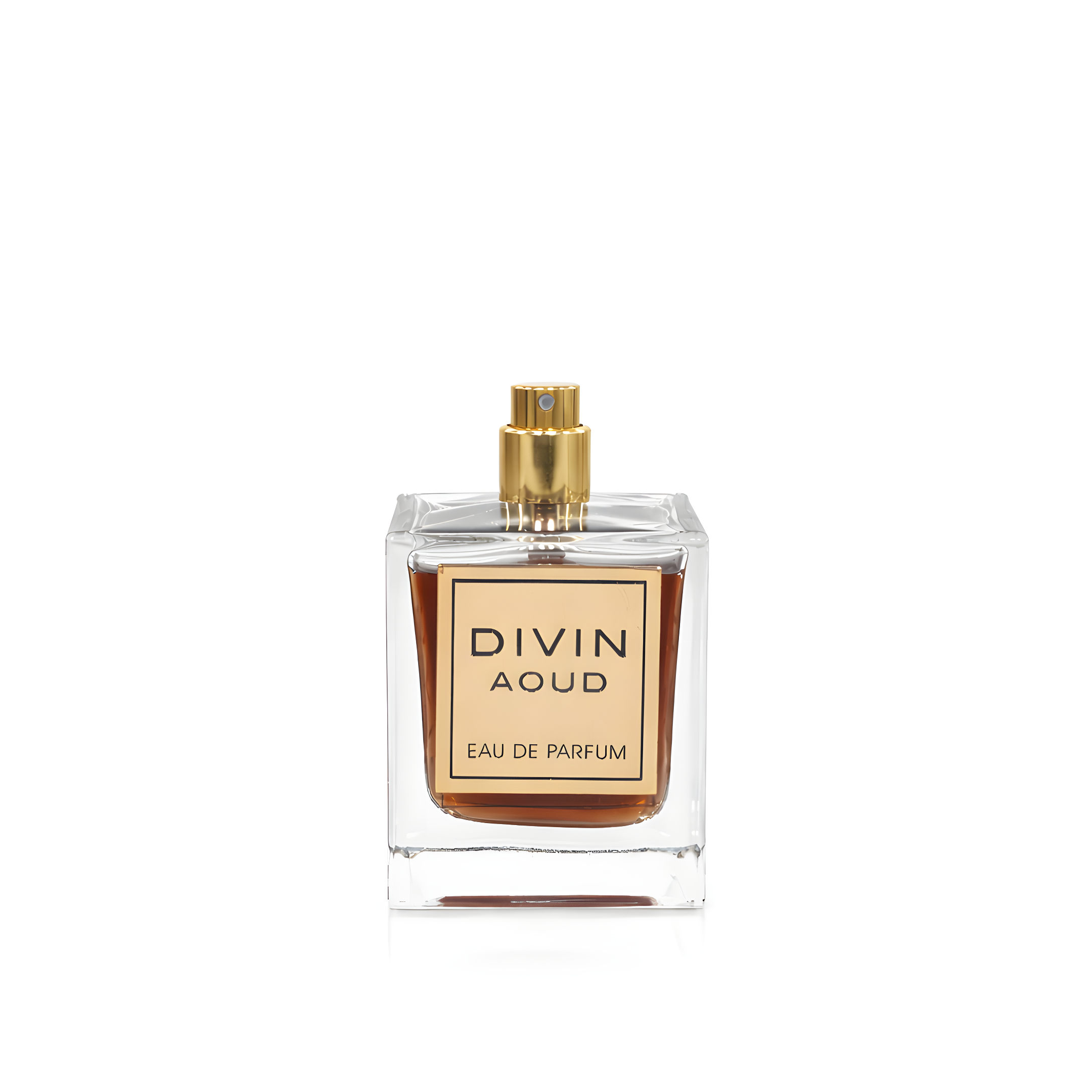Divin Aoud EDP 100ml by French Avenue