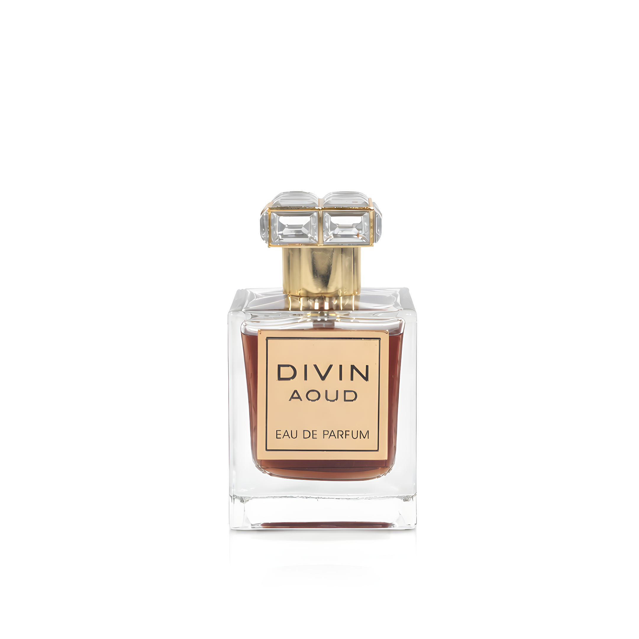 Divin Aoud EDP 100ml by French Avenue