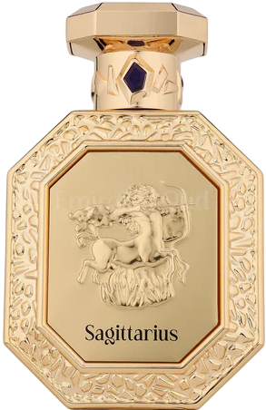 Genesis Sagittarius EDP 90ml by French Avenue